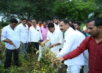 माजी मंत्री जयदत्त क्षीरसागर थेट शेतकऱ्यांच्या बांधावर