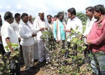 शेतकऱ्यांच्या हक्कासाठी प्रसंगी आपण रस्त्यावर उतरून लढा देवू- विजयसिंह पंडित
