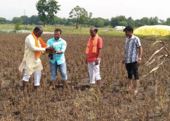 शासनाने शेतकरी बांधवांच्या जीवाशी न खेळता तात्काळ मदत करावी- शिवसेना केज विधानसभा प्रमुख परशुराम जाधव यांचे आवाहन