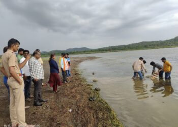 बीडचा नंदी बिंदुसरा धरणात, पुरातन वारसा जपण्याची जबाबदारी कोणाची?