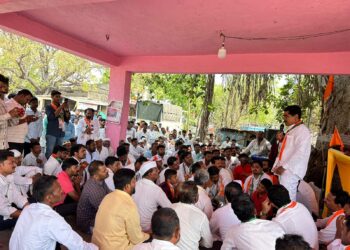 पंकजाताईंचा राज्यातील नेतृत्वावर भरोसा नाही का ?