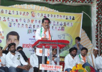 जिल्ह्याचा विकास, रोजगार निर्मितीचे प्रकल्प आणले असते, तर मतांची भीक मागण्याची वेळ आली नसती