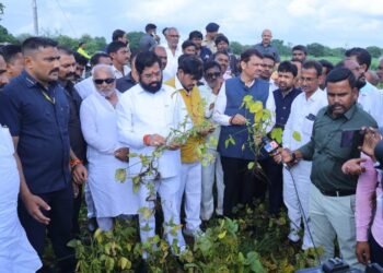अतिवृष्टीने झालेल्या नुकसानीची पाहणी करण्यासाठी मुख्यमंत्री एकनाथ शिंदे, उपमुख्यमंत्री देवेंद्र फडणवीस शेतकऱ्यांच्या बांधावर
