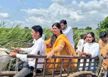 ना. पंकजाताई मुंडेंनी बैलगाडीतून केली नुकसानीची पाहणी