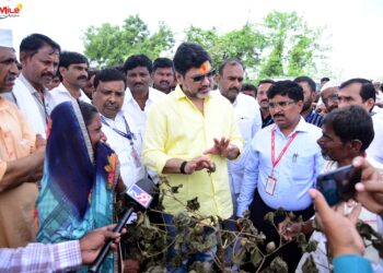 अक्का, मुलीच्या लग्नाची काळजी करू नका, मी आहे, मी सर्व करून देईन, लग्न दिवाळीतच होईल… धनंजय मुंडेंनी पुसले पूरग्रस्त शेतकऱ्यांचे अश्रू