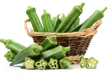 हे रहस्यमय फायदे भेंडीच्या मुळामध्ये दडलेले आहेत, तुम्हीही विचार कराल … एवढ्या फायद्याची गोष्ट कुठे दडलेली होती?