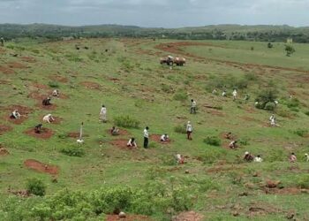 मस्तावलेल्या वनविभागावर जिल्हाधिकारी ठेवणार अंकुश