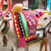 Beed : जिल्ह्यात बैलांची एकत्रित मिरवणूक काढण्यास बंदी!